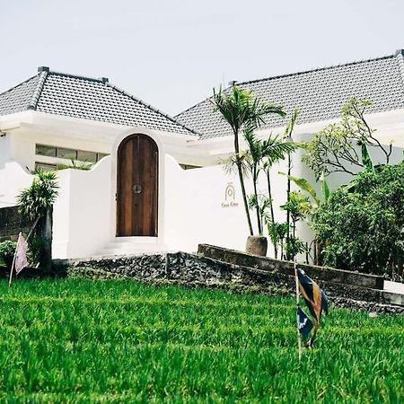 New Design Villa Casa Alma 3Bdr With Private Pool, Canggu מראה חיצוני תמונה